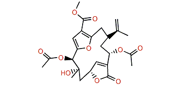 Sinulacembranolide A